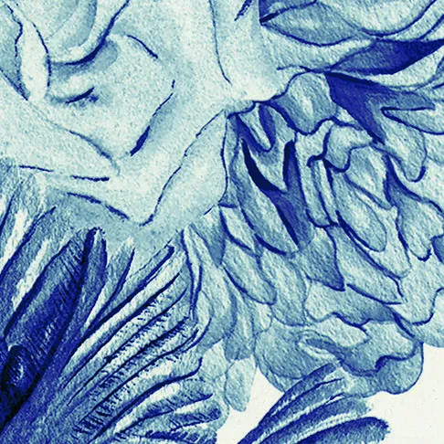 Floris冰白青花01