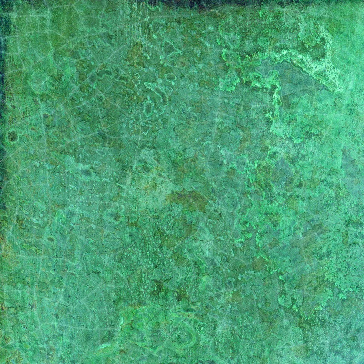 湖水绿细节